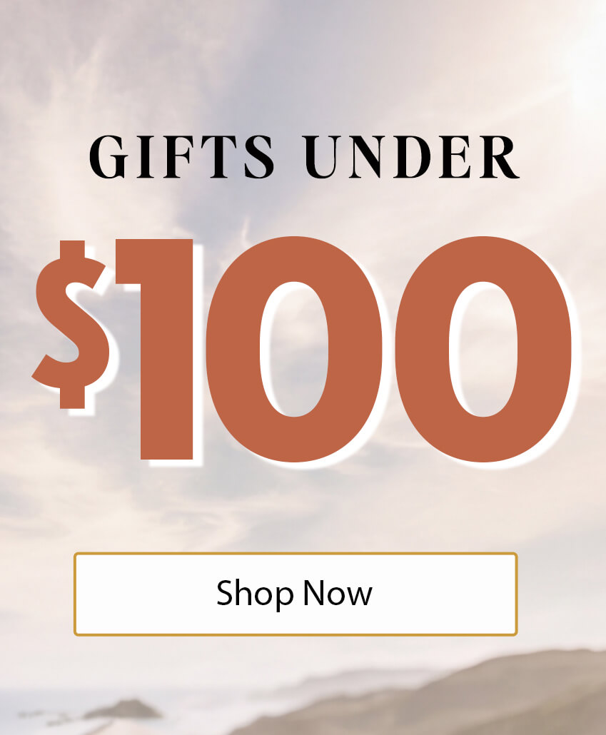 Gifts Under $100